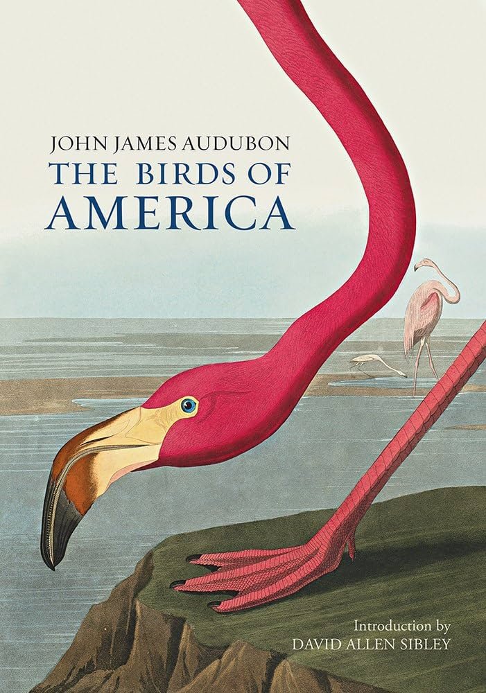 Know About John James Audubon’s Birds of America