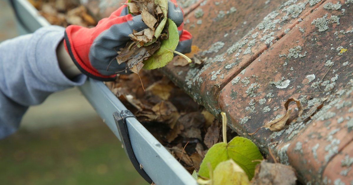 Gutter Cleaning Bradenton