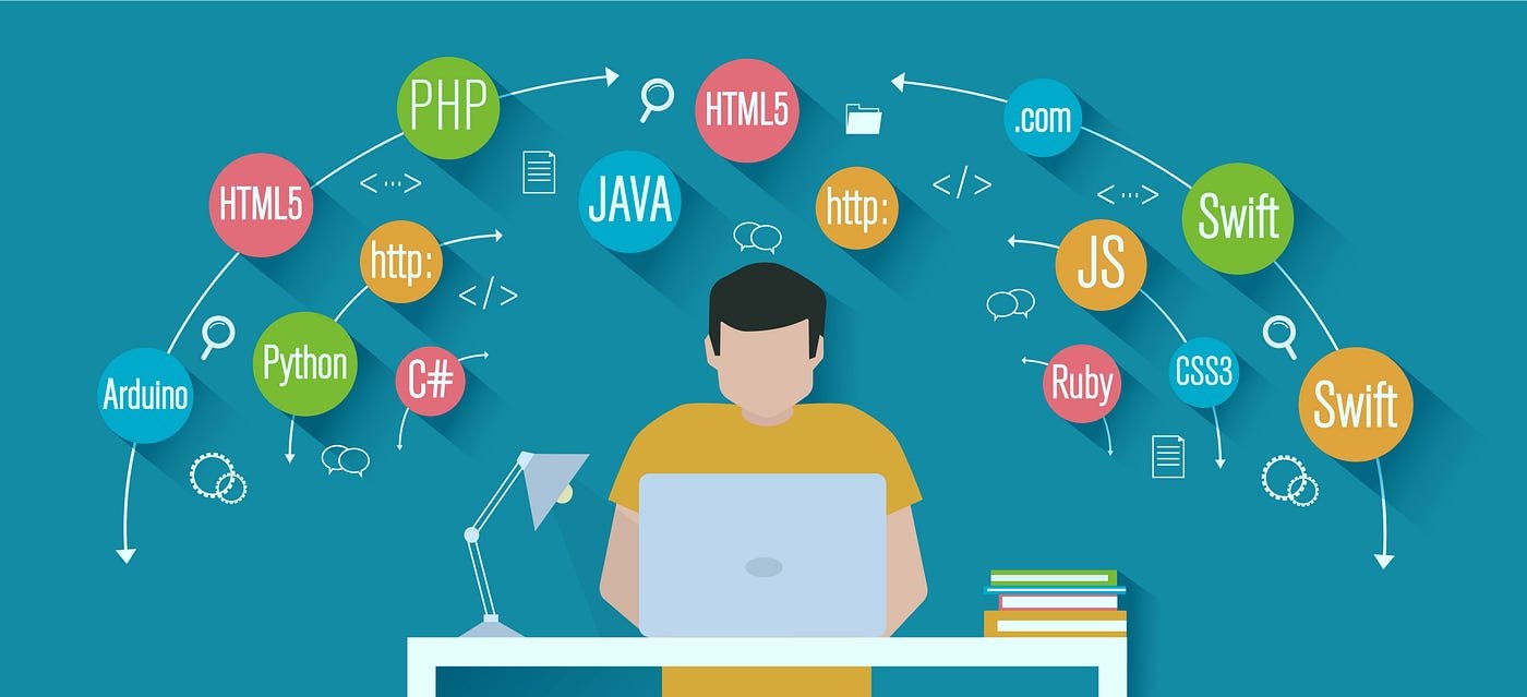 What are some common programming languages used in web development