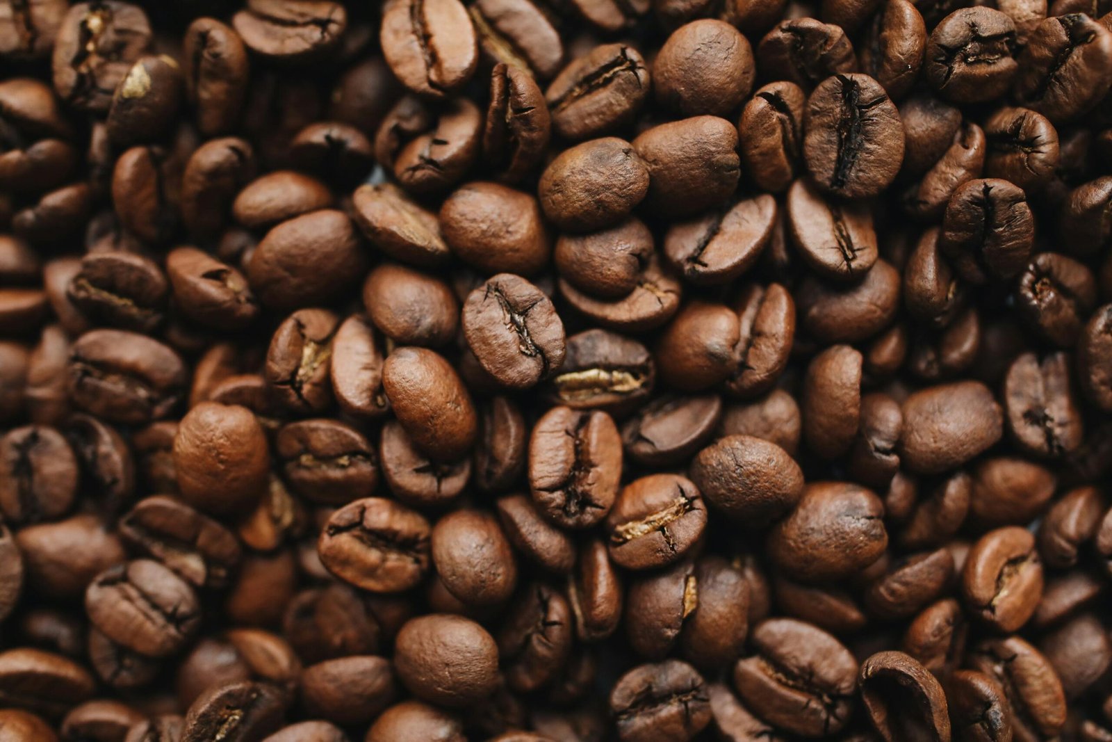 Buy Coffee Beans Online